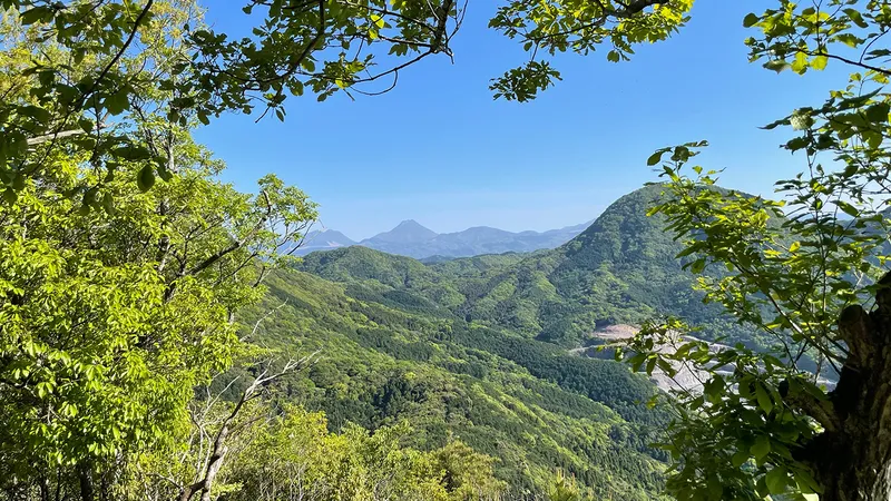 稲積山