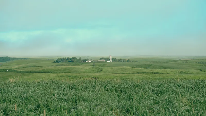 白木山稲荷大明神